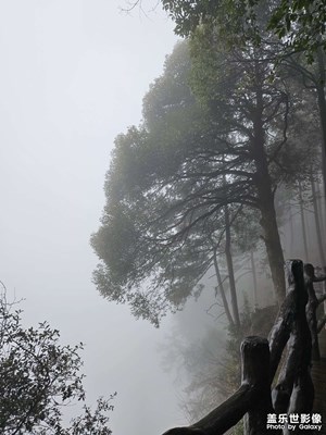 【尋光獵影】+登山行