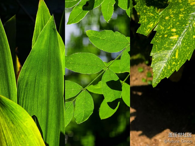 【三星Galaxy S24UItra機皇依舊】上手體驗