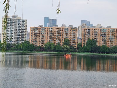 【濃情端午】劃龍舟