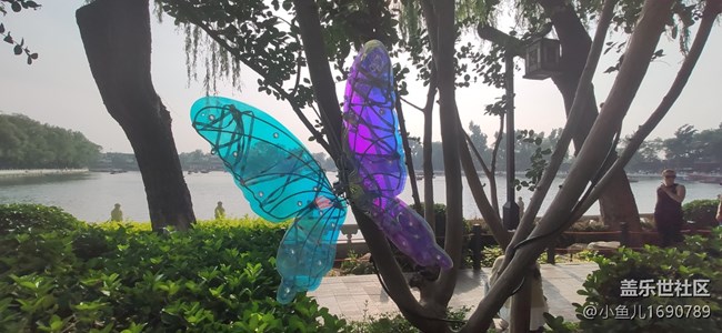 【北京城市攝影】什剎海游記