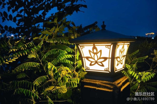 【色彩與光影的邂逅】夜色寧靜