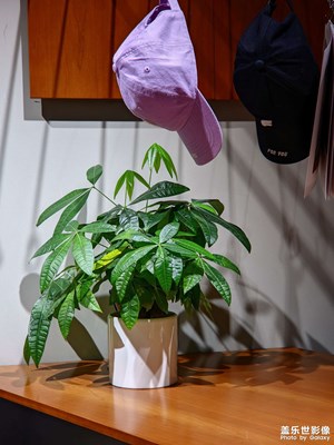 谷歌相機(jī)和原相機(jī)