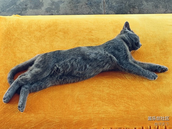 【北京城市攝影】夏日里的什剎海