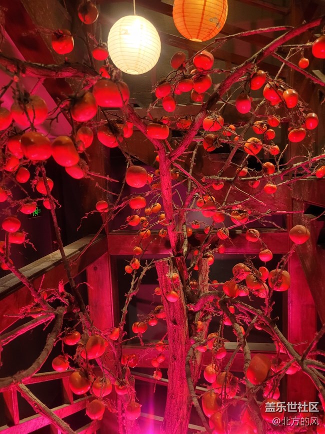 【北京城市攝影】+什剎海的網(wǎng)紅咖啡館