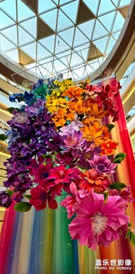 三星Galaxy S24ultra 拍攝