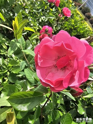 [濃情端午]場景隨拍