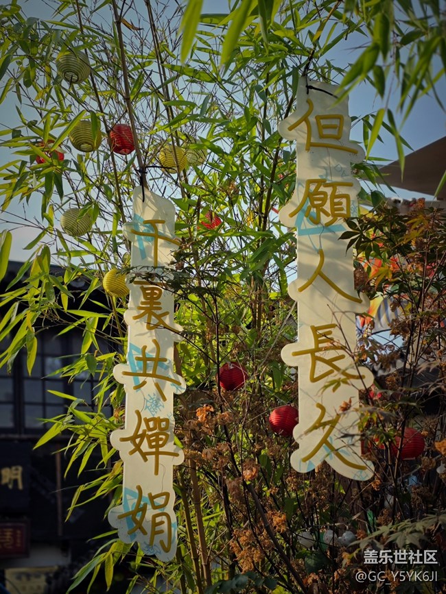 【閔行文化公園citywalk攝影活動(dòng)】+藝術(shù)