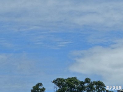 【濃情端午】悠哉悠哉