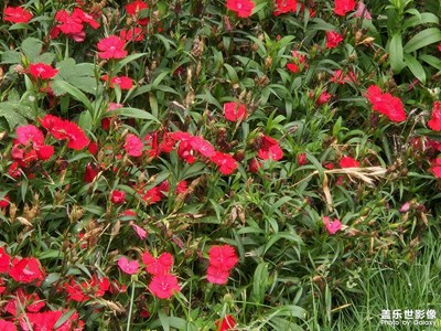 【尋光獵影】+  光陰荏苒