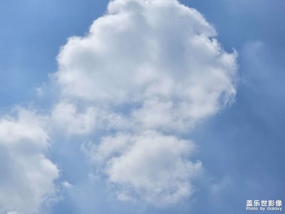 【濃情端午】+ 端午節(jié)