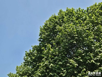 【尋光獵影】+日常生活