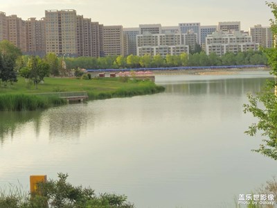 【濃情端午】+外出游玩