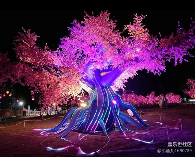 【色彩與光影的邂逅】彩燈點綴的生活