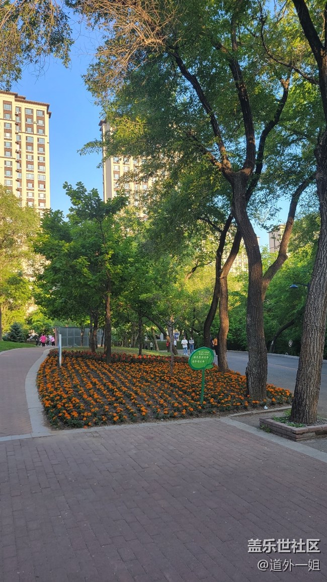 美麗的勞動(dòng)公園，開心的星部落活動(dòng)。