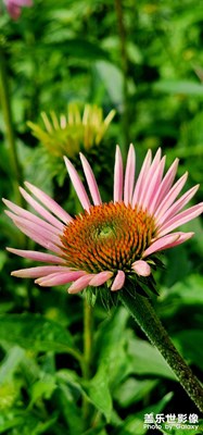 【光影色彩】+?清晨隨拍