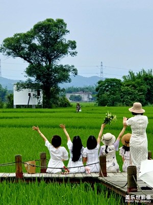 【光影色彩】綠野田間