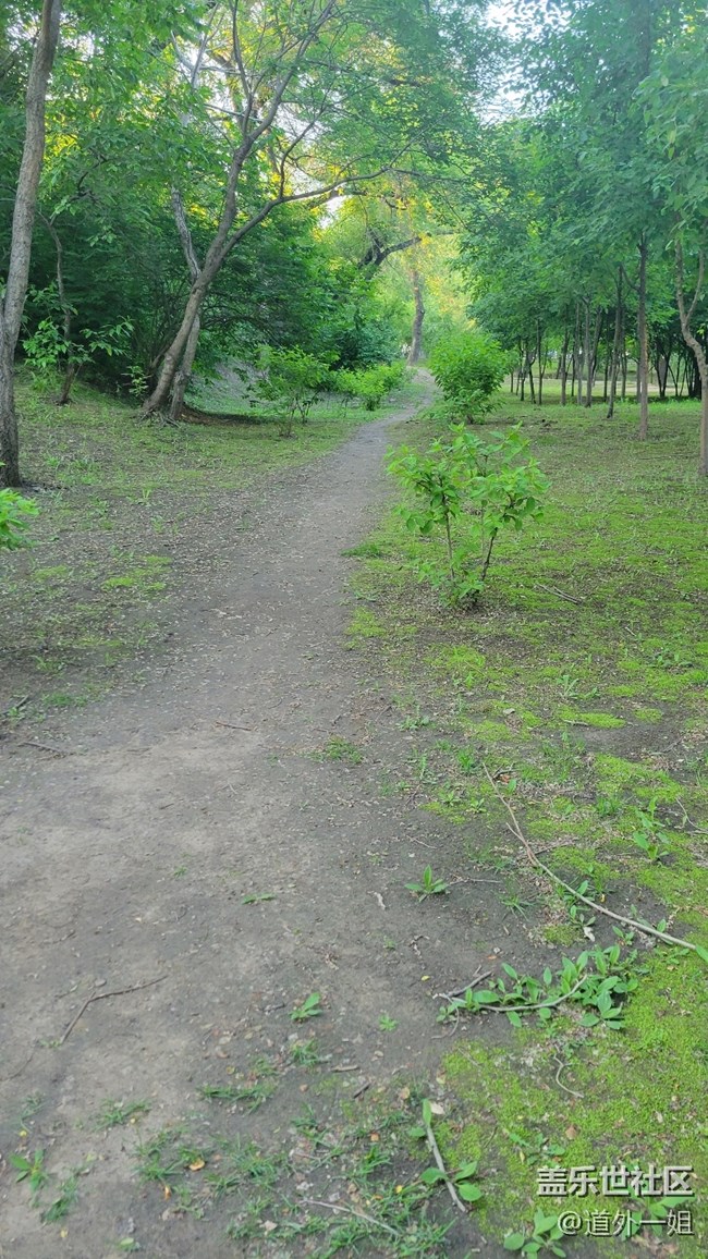 美麗的勞動(dòng)公園，開心的星部落活動(dòng)。