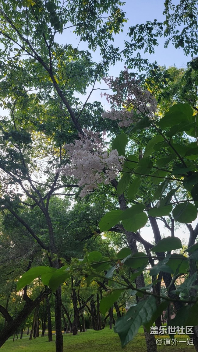 美麗的勞動(dòng)公園，開心的星部落活動(dòng)。