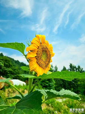 還沒到7月就這么熱了，這個夏天怎么扛過去