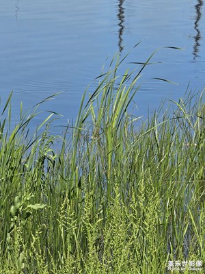 【光影色彩】+ 河岸