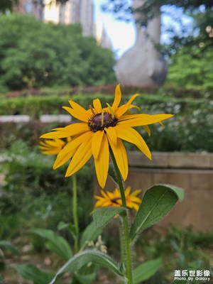 【光影色彩】盛夏橙光