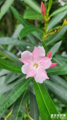 【光影色彩】+ 新奇好玩