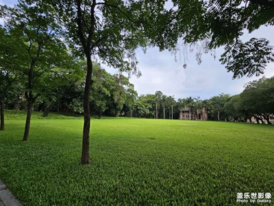 【光影色彩】隨手拍