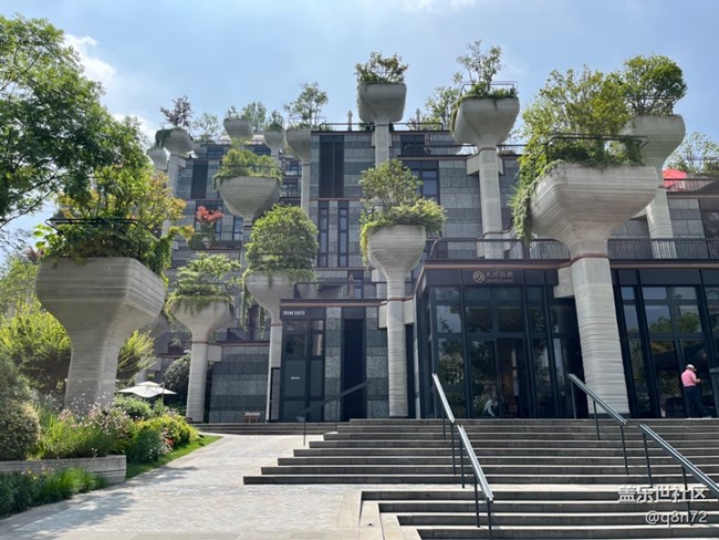 #今夏，當(dāng)下——蘇州河邊天安千樹(shù)