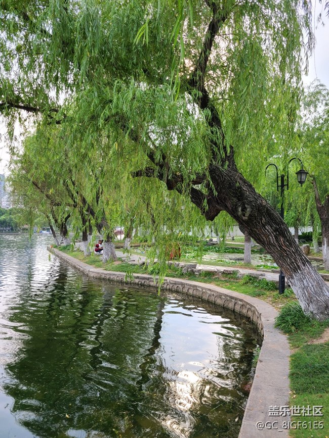 【多姿多彩的生活】夏日生活