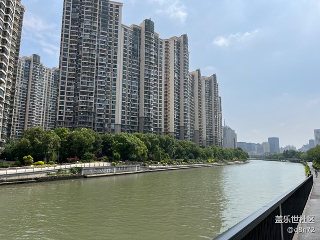 #今夏，當(dāng)下——蘇州河邊天安千樹(shù)