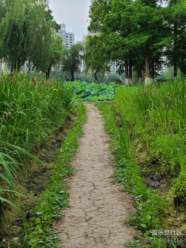 【多姿多彩的生活】夏日生活