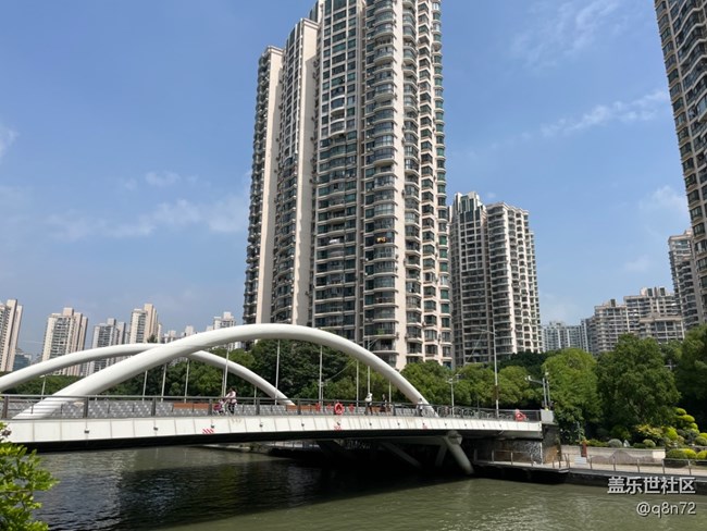 #今夏，當(dāng)下——蘇州河邊天安千樹(shù)