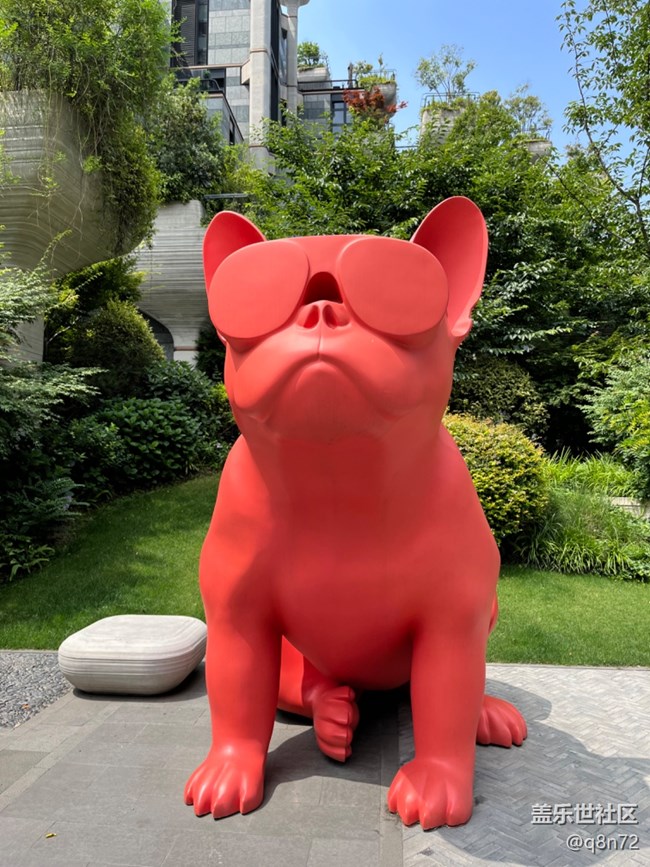 #今夏，當(dāng)下——蘇州河邊天安千樹(shù)