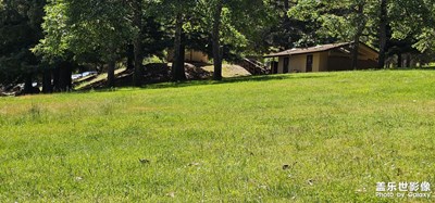 走進(jìn)大自然