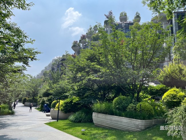 #今夏，當(dāng)下——蘇州河邊天安千樹(shù)