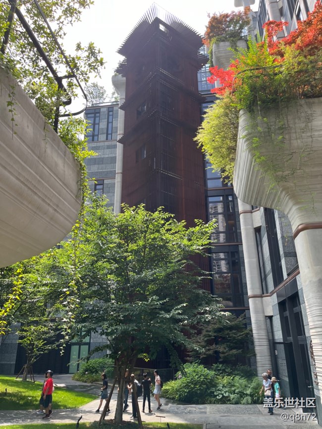 #今夏，當(dāng)下——蘇州河邊天安千樹(shù)