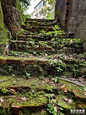 工業(yè)遺產(chǎn)的角落