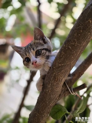 【光影色彩】+ 隨拍一拍