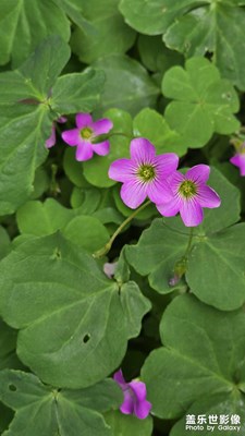 【光影色彩】+ 隨拍