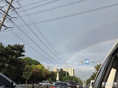 【光影色彩】+ 雨后隨手拍