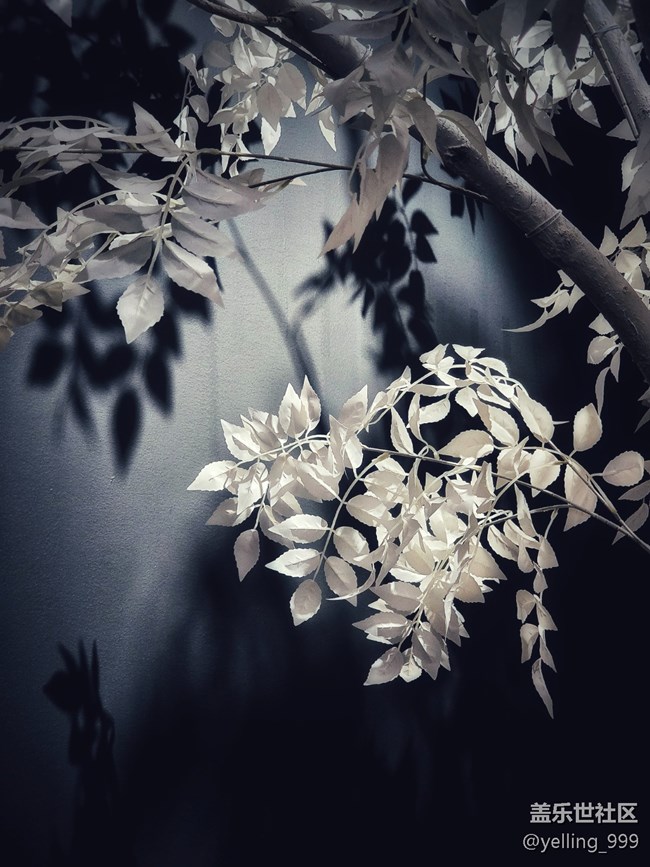 上海星部落6月15日久仰了中國神話線下攝影活動回顧帖