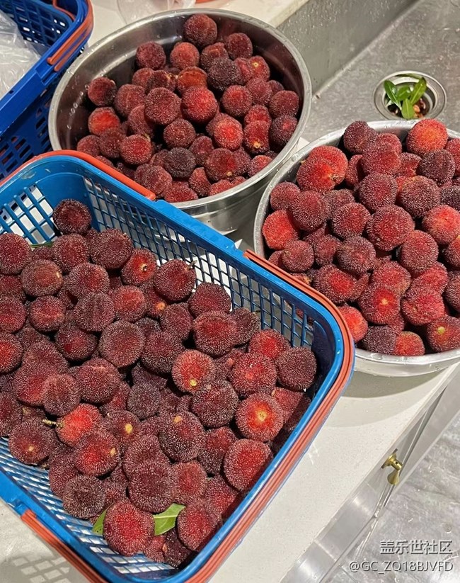 【美食當(dāng)鮮】楊梅醬