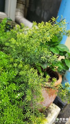 【光影色彩】+鋼琴室