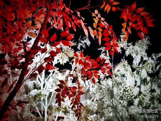 上海星部落6月15日久仰了中國神話線下攝影活動回顧帖