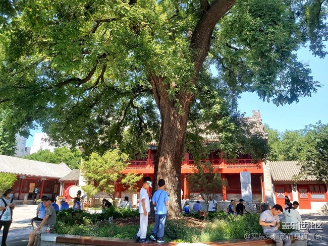 【三星手機(jī)記錄宣南發(fā)展】品宣南文化