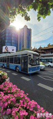 上海的百年公交車