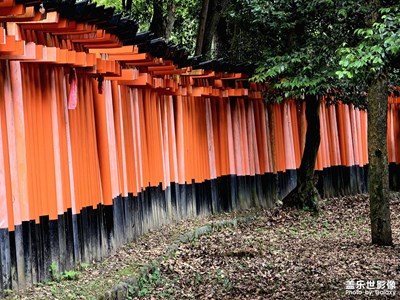 【光影色彩】伏見稻荷大社印象