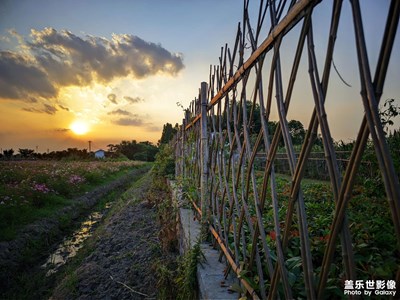 【光影色彩】+夕陽下