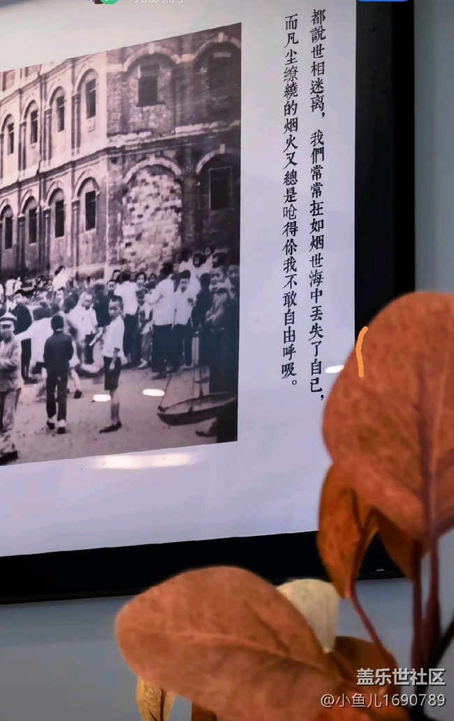 【色彩與光影的邂逅】人生格言