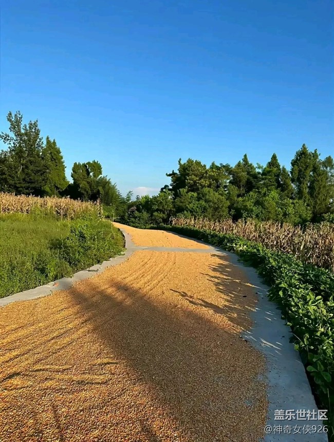 【色彩與光影的邂逅】家鄉(xiāng)的味道